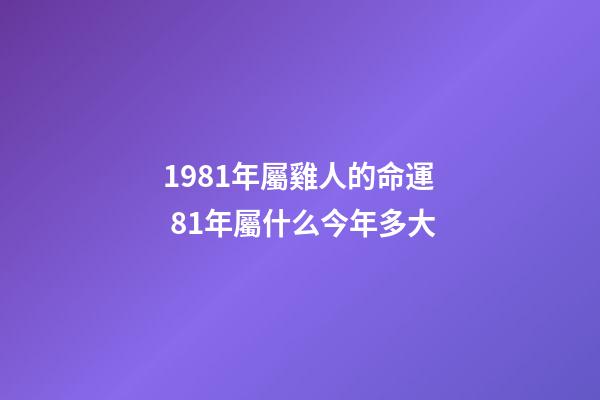1981年屬雞人的命運 81年屬什么今年多大-第1張-觀點-玄機派
